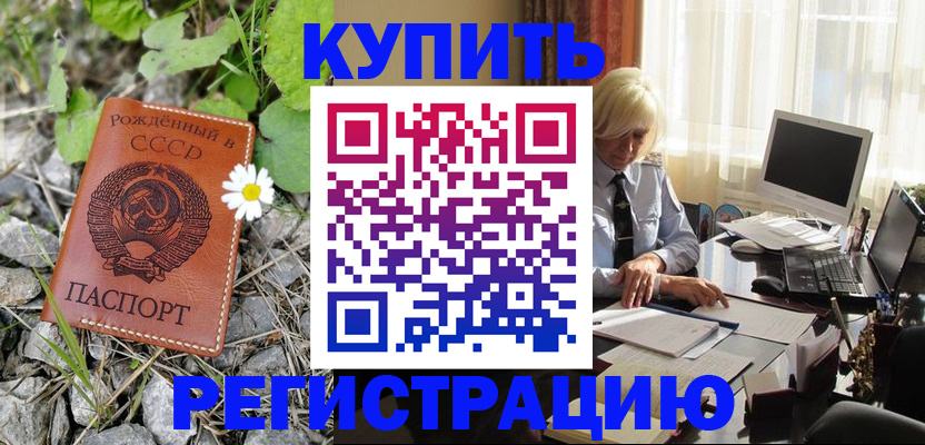 временная регистрация поиск в Камчатской области